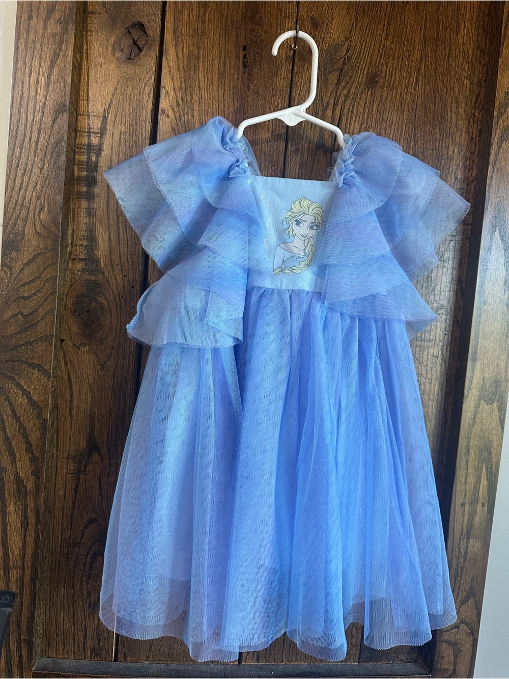 Light Blue Tulle Princess Dress with Elsa Graphic